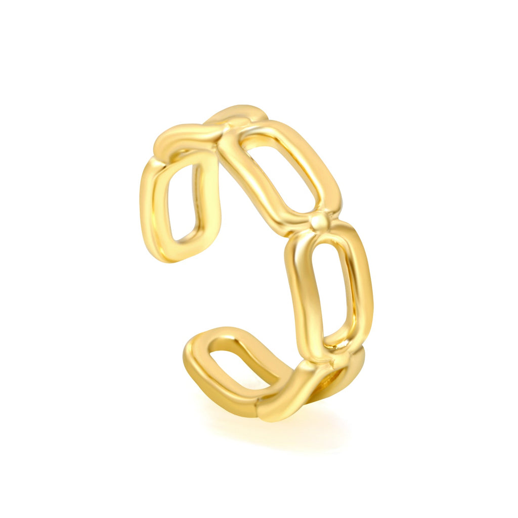 Kettingblad van roestvrij staal