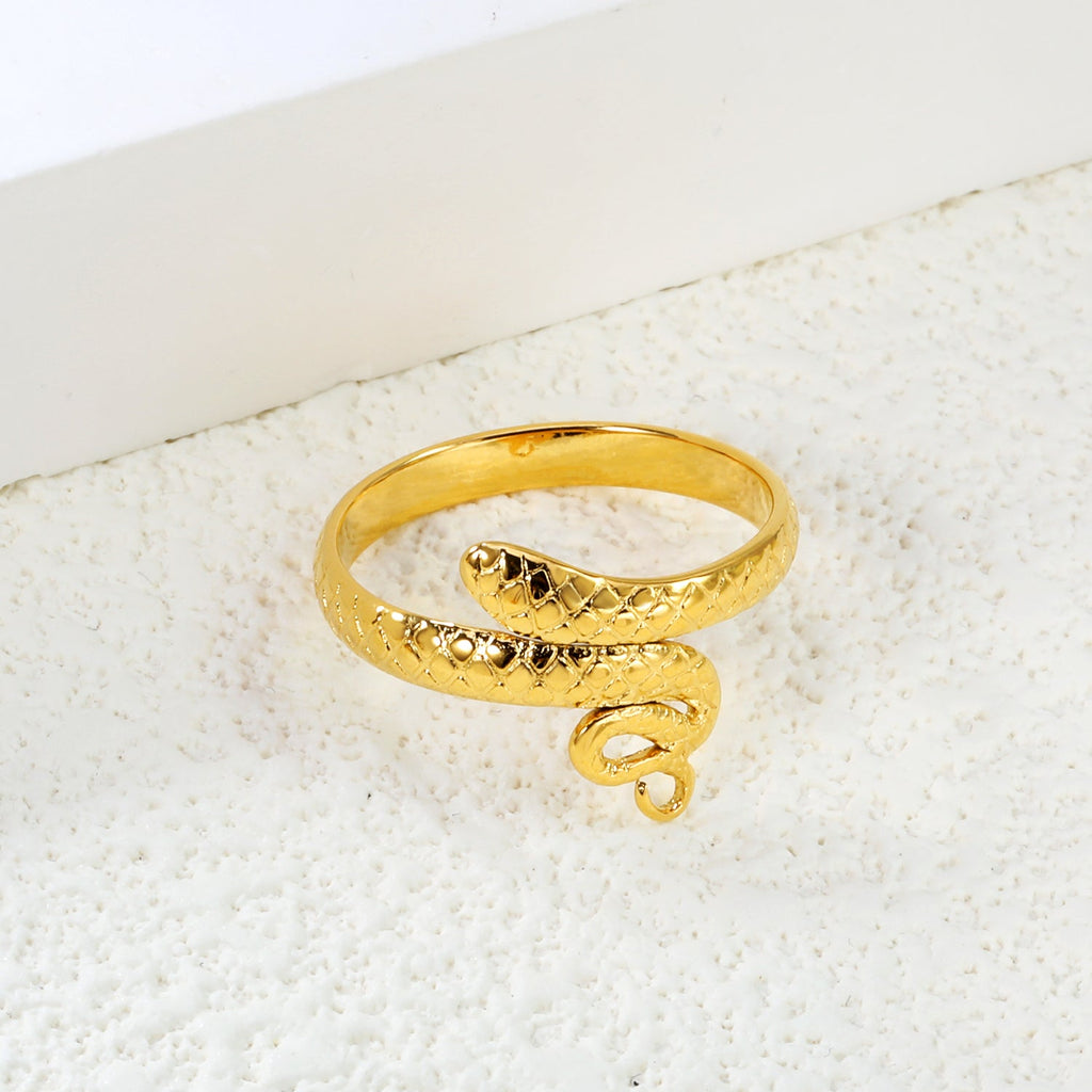 RVS Serpentine Wikkelring