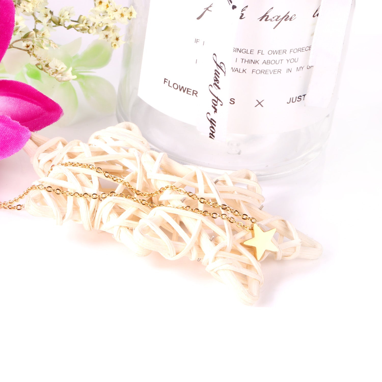 Glanzende ster hanger ketting