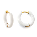 Meerkleurige roestvrijstalen oorbellen