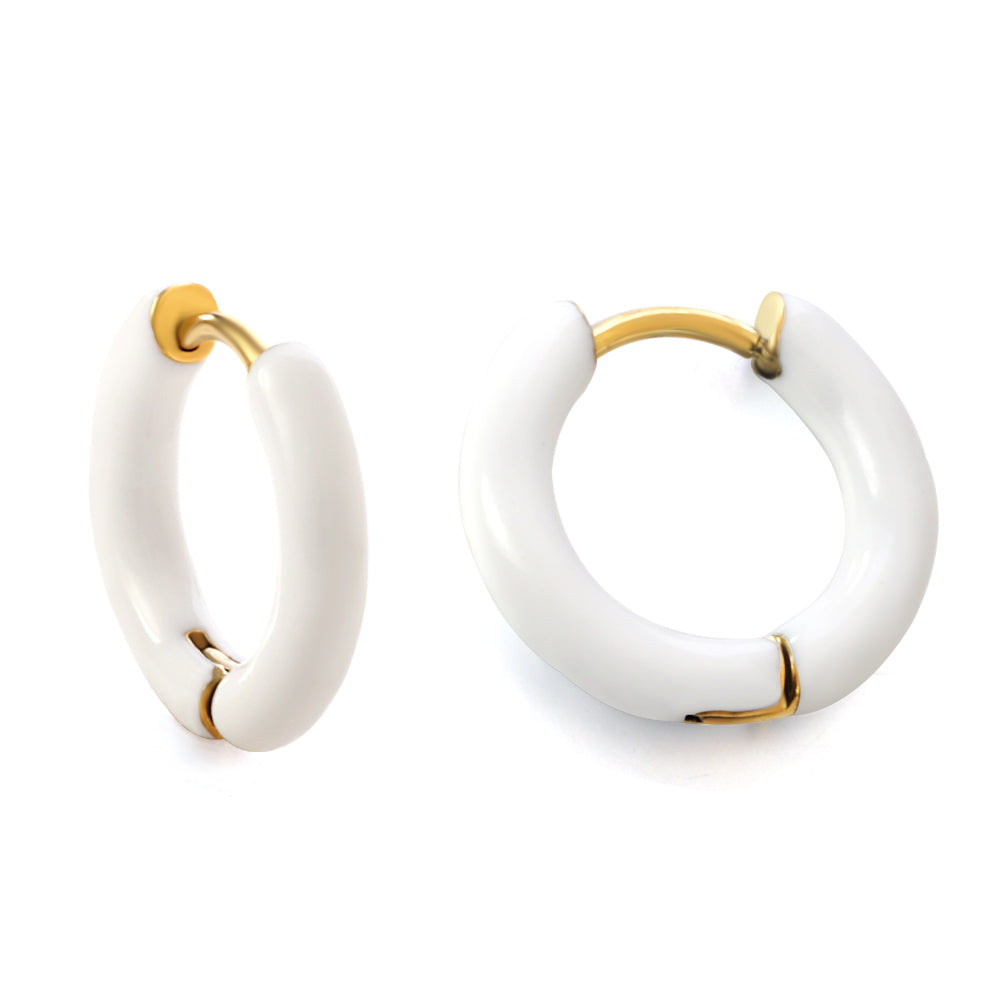 Meerkleurige roestvrijstalen oorbellen