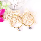 Ronde creolen met zirkonia 